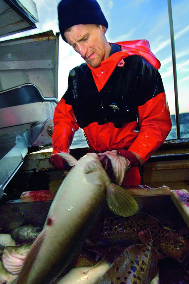 Fishing Xtreme Busseronne 